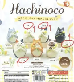 専用ページ