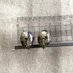 ノンホールピアス イヤリング