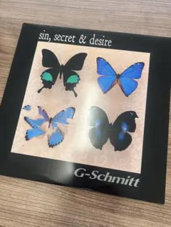アナログレコード　G-Schmitt　sin, secret & desire