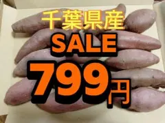 799円！SALE！激安！サツマイモ！千葉県産！前期3000箱販売！