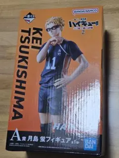 ハイキュー!! 月島 蛍 フィギュア A