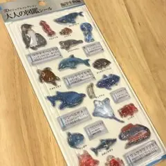 m*7様 正規品 大人の図鑑シール 3D 海洋生物シール