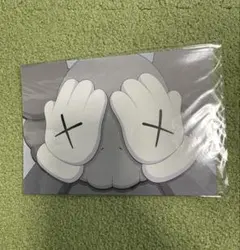 KAWS TOKYO FIRST KAWS ポストカード コンパニオン