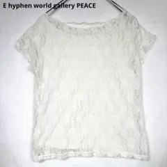 E hyphen world gallery 総レース 半袖トップス 白 Fのサムネイル
