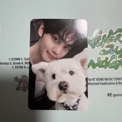 ギュビン ZB1 NEVER SAY NEVER トレカ デジパ レオ