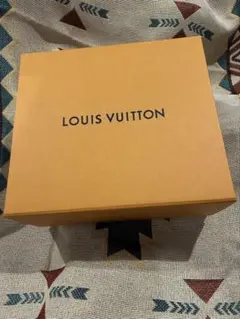 ルイヴィトン☆ギフトボックス☆箱☆保存袋☆LOUIS VUITTON