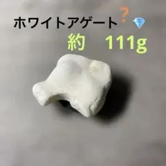 特大 布袋石 耳骨 化石 クジラ イルカ 鉱物 貝殻 ビーチコーミング ビーチコーミング イルカ 耳骨 化石 布袋石 超美品！ - メルカリ