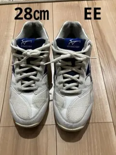 MIZUNO GYMSTAR 体育館シューズ ホワイト ブルー