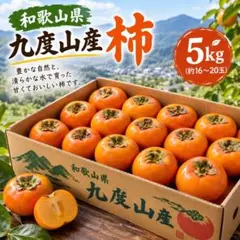 最終時期限定価格‼️和歌山県九度山産たねなし柿❤️刀根早生❤️5キロ‼️