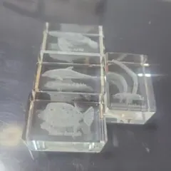 クリスタルキューボイドmini 海の生き物のサムネイル