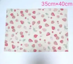 【Ｎｏ．162】ランチョンマット 35cm×40cm