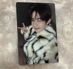 ジャンハオ ゼベワン 封入 トレカ seek ver 5集