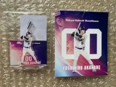 東京ヤクルトスワローズ赤羽由紘選手 アクリルスタンド ステッカーセット