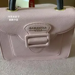 SAMANTHA VEGA ピンク ワンハンドルバッグ