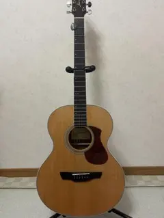 Takamine エレアコ PT-007N Takamine エレアコ PT-007N - メルカリ