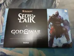MTG 神秘の聖域 ボーダーレス 英語 1枚 secret lair MTG 神秘の聖域 ボーダーレス 英語 1枚 secret lair | Mercari