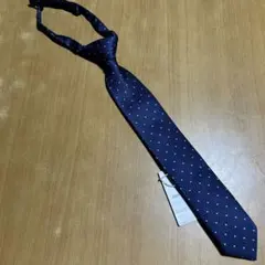 Item thumbnail for item 82ea4a41-8065-4c15-be75-b49d1d0a1aaa