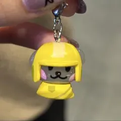 ゴヌク アイドル