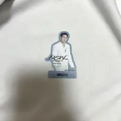 SEVENTEEN NEW_ MINGYU ミンギュ ステッカー