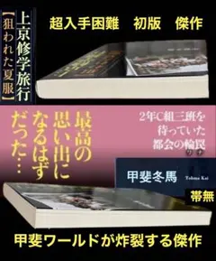 傑作】人妻と高校生 上巻 結城彩雨 挿絵 永遠の風雲児 笠間しろう 