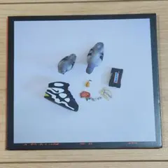 YL / Don't Feed The Pigeons CD