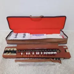 極美品】ライリッシュ 大正琴 LPS50 付属品付 - メルカリ