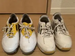 adidas ゴルフシューズセットサイズ JP245&JP250