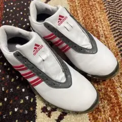 美品 23㌢adidasアディダスゴルフsignature-PAULA