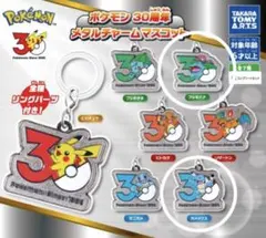 ポケモン　30周年　メタルチャーム　2種