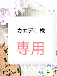 カエデ◇ 様　専用ページ