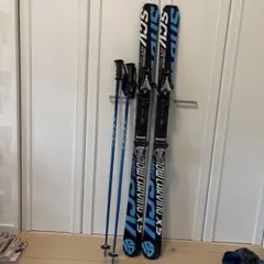  CARVING スキーウェア スノーボード　Sサイズ 2026年最新】snow CARVING スキーウェアの人気アイテム