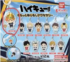 ハイキュー!! めじるしアクセサリー 日向翔陽