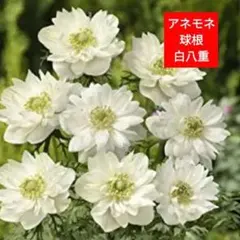 mmh様 リクエスト 3点 まとめ商品