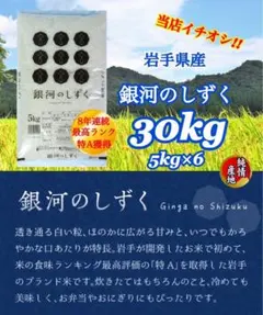米 8年連続特A! 白米【岩手県産銀河のしずく30kg】 (5kg×6