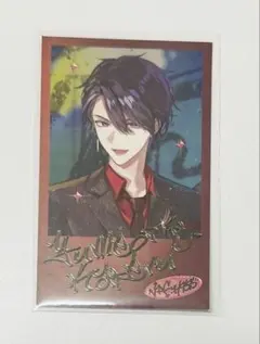 夢追翔 VACHSS ランダムチェキ風カード