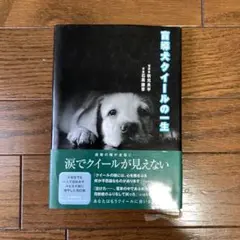 Item thumbnail for item 1bea5545-1cb8-48b5-a542-cb76604b1634