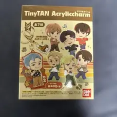 TinyTAN アクリルチャーム 全7種　bts 8個セット　BTS