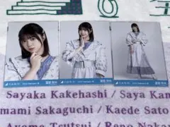 乃木坂46 生写真　冨里奈央　紅白2024衣装　コンプ