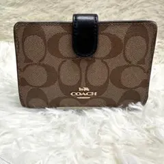 Item thumbnail for item 4caa9b9b-addb-4b79-b283-edcf5c998616