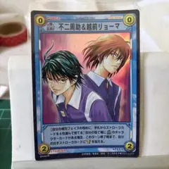 テニスの王子様 TCG 300枚以上 まとめ売り 不二周助多め SR PR R込 テニスの王子様 TCG 300枚以上 まとめ売り 不二周助多め SR PR R