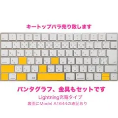 【キートップバラ売り】AppleMagicキーボード A1644 テカリ多め