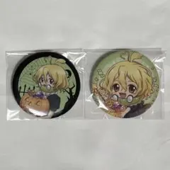 Dr.STONE 缶バッジ スイカ 2点セット