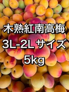 大玉‼️和歌山県産 完熟南高梅 3L.2Lサイズ 5kg みかんキング - メルカリ
