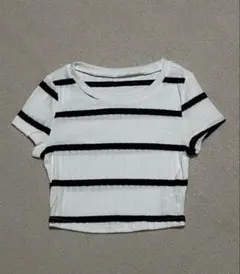 新品 白黒ストライプ 半袖クロップドトップ