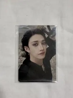 straykids スキズ doit 特典 ALADIN バンチャン