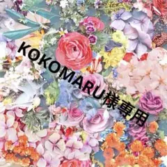 KOKOMARU様専用