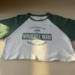 dazy ラグランスリーブ Tシャツ Lサイズ