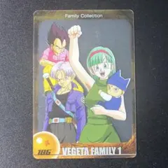 ベジータファミリー トレカ ドラゴンボールZ 鳥山明 トランクス 家族