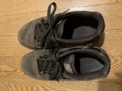 NIKE レディーススニーカー