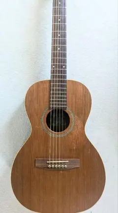 Seagull GRAND パーラーサイズ カラッとしたビンテージライクな鳴り 小振りボディ】 Seagull GRAND カラッとしたビンテージライクな鳴り